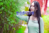 庄心妍-想你伤口会疼(MCYY 写真DJ视频)