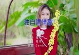 庄心妍-独自唱情歌(DJcandy 写真DJ视频)