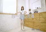 王小柒-心一动心就痛(DJ小波 热舞DJ视频)