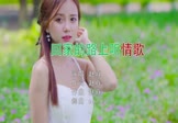 赵真-回家路上听情歌(DJcandy 写真DJ视频)