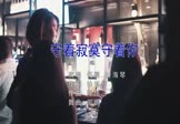 何鹏 徐海琴-守着寂寞守着你(DJ版 夜店DJ视频)