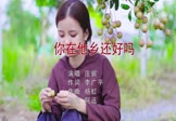 庄妮-你在他乡还好吗(DJ阿远 写真DJ视频)
