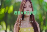 樊凡-我想大声告诉你(DJpout小辉 写真DJ视频)