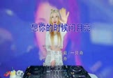 梅朵-想你的时候问月亮(DJ沈念 打碟DJ视频)