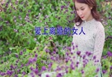 陈玉建-爱上离婚的女人(DJ欧东 写真DJ视频)