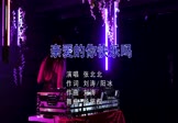 张北北-亲爱的你快乐吗(DJ杨铭权 打碟DJ视频)