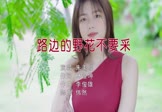 朱美璇-路边的野花不要采(DJ伟然 写真DJ视频)