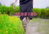 小蓝背心-我怕来者不是你(DJPad仔 写真DJ视频)
