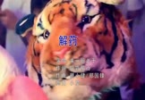 来一碗老于-解药(DJ小罗 夜店DJ视频)