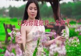 李英-以为你是陪我一生的人(DJ默涵 写真DJ视频)