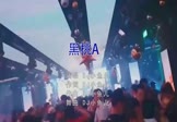 DJ小鱼儿-黑桃A(DJ舞曲 夜店DJ视频)