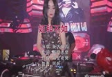 鱼大仙儿-姬和不如(DJ阿帆 打碟DJ视频)