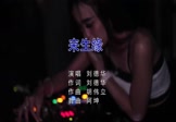 刘德华-来生缘(DJ阿坤 夜店DJ视频)