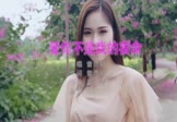 曾雨轩-爱你不是我的宿命(DJcandy 写真DJ视频)