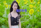 朱添泽-她的世界(DJ小拳权 写真DJ视频)