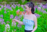 苏小花-我是女汉子(DJ何鹏 写真DJ视频)