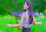 刘恺名-亲爱的你在想我吗(DJcandy 写真DJ视频)
