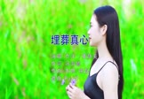 黄静美 乔洋-埋葬真心(DJpad仔 写真DJ视频)