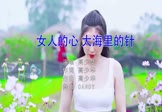 高艺峰-女人的心大海里的针(DJcandy 写真DJ视频)