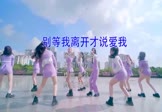 孙嘉敏-别等我离开才说爱我(DJ王志 热舞DJ视频)