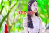 陈之-月亮惹的祸(DJ世豪 写真DJ视频)