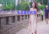 小军-永远爱你的我(DJcandy 写真DJ视频)