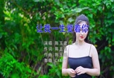 陈玉建 王语心-让我一生爱着你(DJcandy 写真DJ视频)