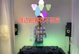 朱美璇-路边的野花不要采(DJ伟然 打碟DJ视频)