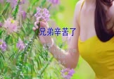张东朗-兄弟辛苦了(DJ小鱼儿 写真DJ视频)