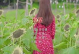 许佳慧-预谋(DJNR 写真DJ视频)