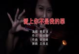 黄美琪-爱上你不是我的罪(DJ王绎龙 夜店DJ视频)