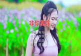 陈兴瑜-非你莫嫁(DJ阿圣 写真DJ视频)