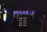 罗艺-原来爱是骗人的(DJ阿远 夜店DJ视频)