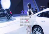 金志文-太傻(McYy 车模DJ视频)
