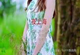 韩宝仪-夜上海(DJR7 写真DJ视频)