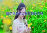 张一阳-一开始说陪你到老的人现在他还在吗(DJ姜姜 写真DJ视频)