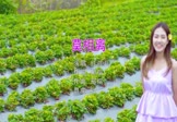 红孩儿-莫相离(DJR7 写真DJ视频)