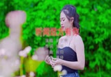 刘艺雯-听闻远方有你(DJ庸仔 写真DJ视频)