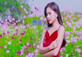王优秀-想某人(DJ罗马 写真DJ视频)
