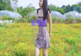 红孩儿-莫相离(DJ沈念 写真DJ视频)