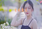 金莎-爱的魔法(DJ泽仔 写真DJ视频)