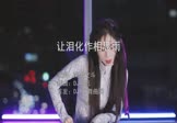 南合文斗-让泪化作相思雨(DJ阿帆 打碟DJ视频)