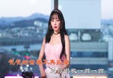 魏新雨-情歌永远唱不够(DJR7 打碟DJ视频)