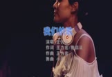 王力宏-我们的歌(DJ小波 打碟DJ视频)