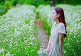 az珍珍-从此(DJ小M 写真DJ视频)