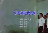 嘉骏-你可知道我爱你(DJ阿远 夜店DJ视频)