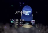 陈乐基-月半小夜曲(MCYY DJ舞曲视频)