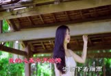 卓依婷-心雨(DJ大金 DJ舞曲视频)