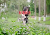 叶倩文-秋来秋去(DJ小九 写真DJ视频)