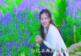 樊少华-致曾经(DJ京仔 写真DJ视频)
